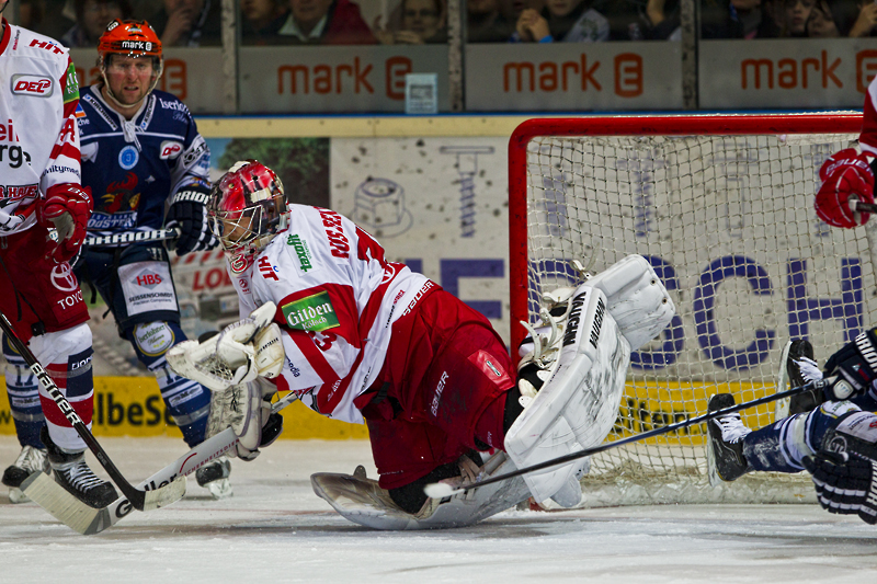 IMG 8242